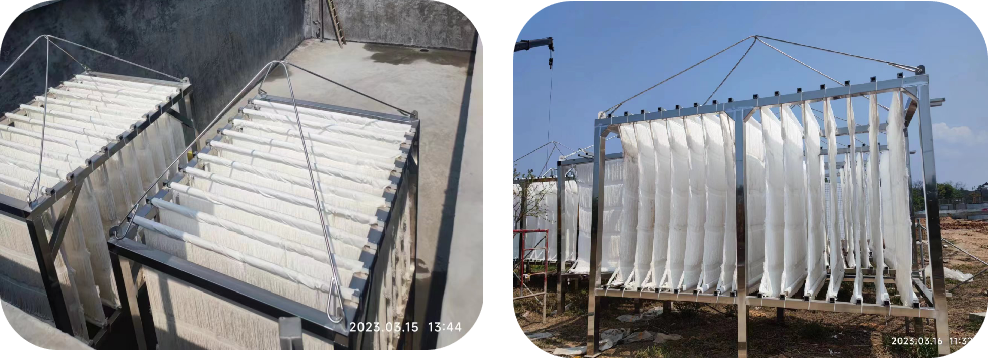 EHR生物膜模塊 EHR生物膜模塊