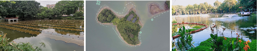 水庫(kù)水體治理修復(fù)